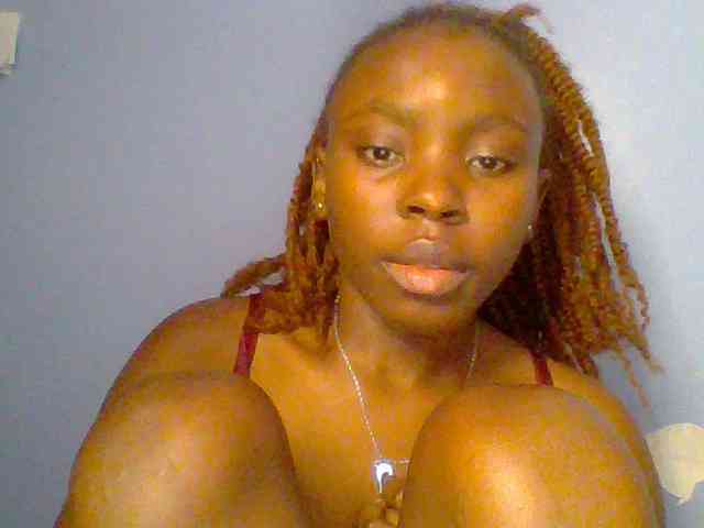 chocolate-brownie webcam