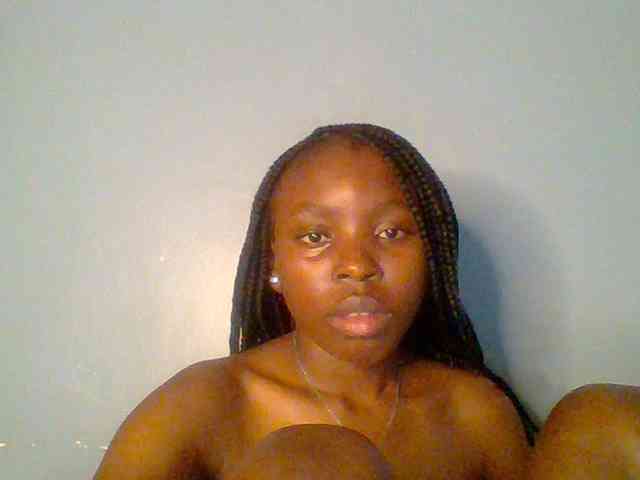 chocolate-brownie webcam