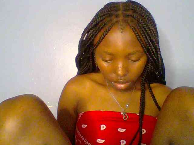 chocolate-brownie webcam