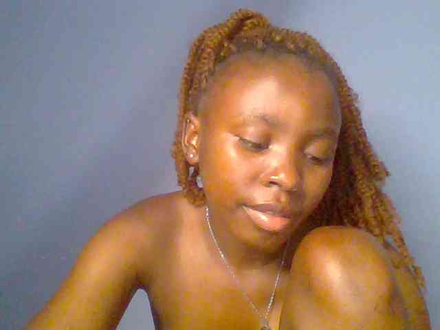 chocolate-brownie webcam