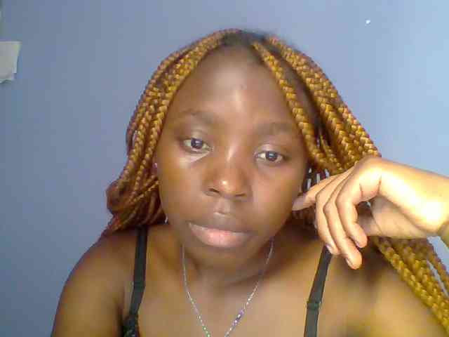chocolate-brownie webcam