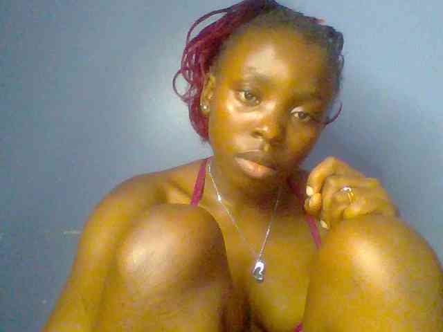 chocolate-brownie webcam