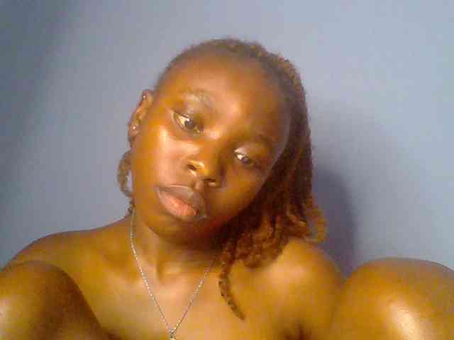 chocolate-brownie webcam