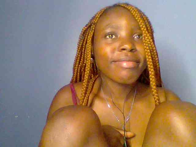 chocolate-brownie webcam