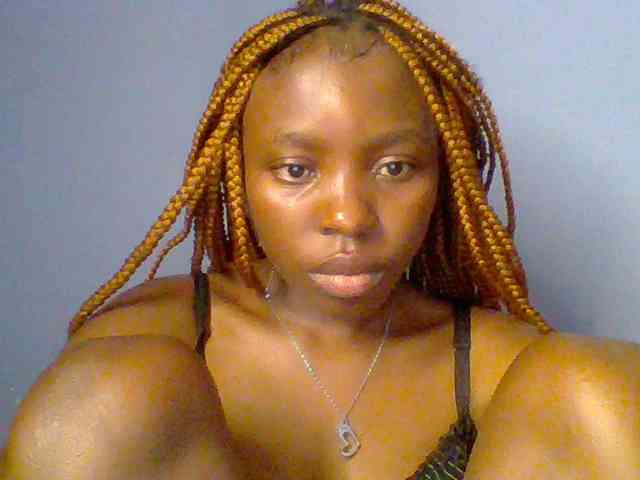 chocolate-brownie webcam