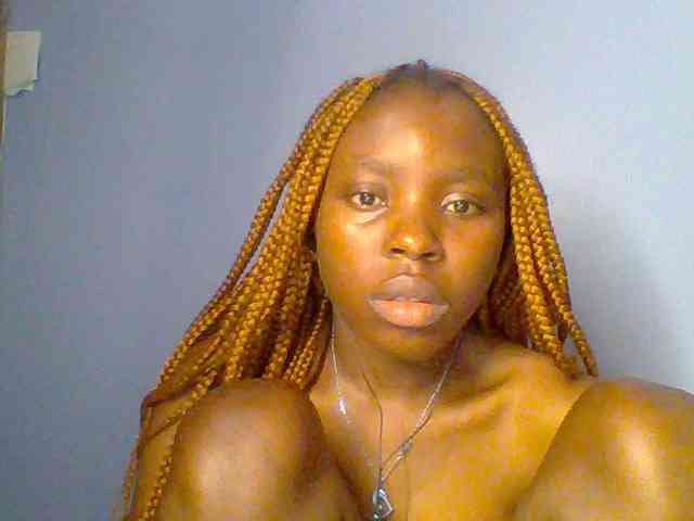 chocolate-brownie webcam