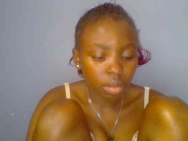 chocolate-brownie webcam