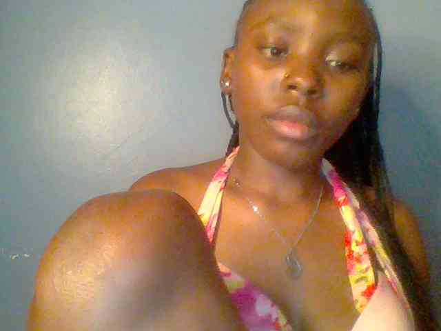 chocolate-brownie webcam