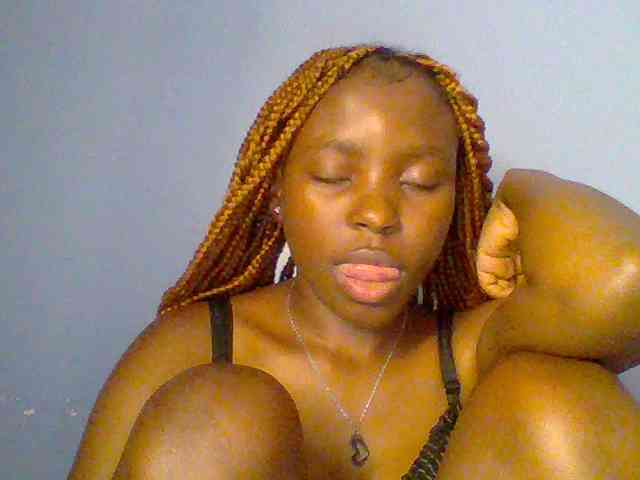 chocolate-brownie webcam