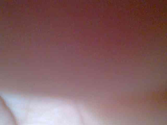 chocolate-brownie webcam