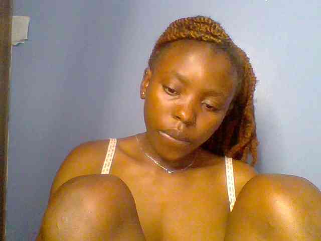 chocolate-brownie webcam