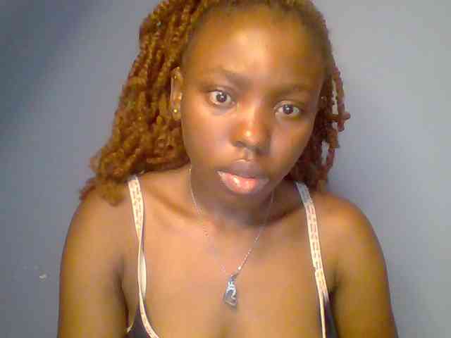 chocolate-brownie webcam