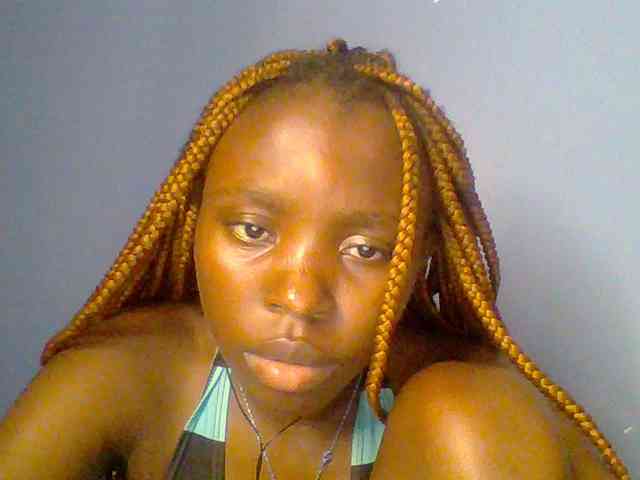 chocolate-brownie webcam