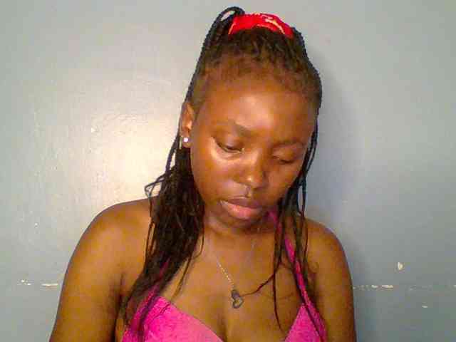 chocolate-brownie webcam