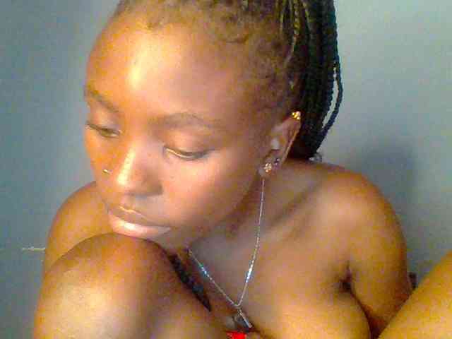 chocolate-brownie webcam