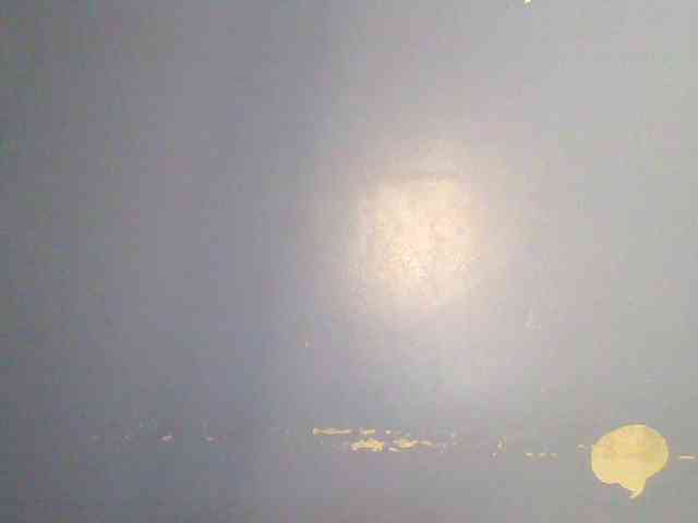 chocolate-brownie webcam
