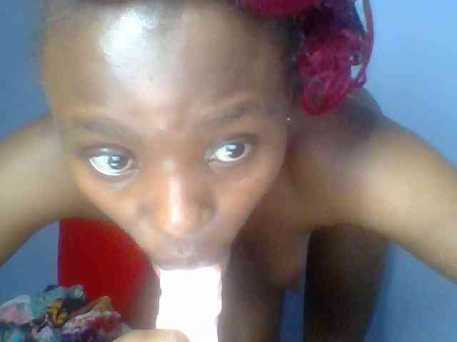 chocolate-brownie webcam