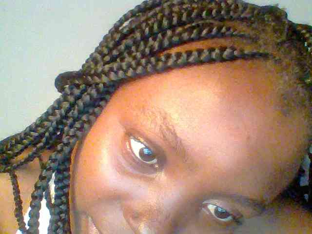 chocolate-brownie webcam