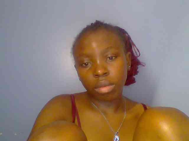 chocolate-brownie webcam