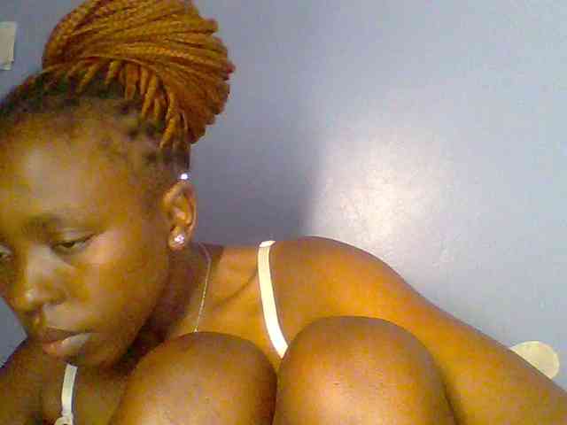 chocolate-brownie webcam