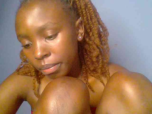 chocolate-brownie webcam