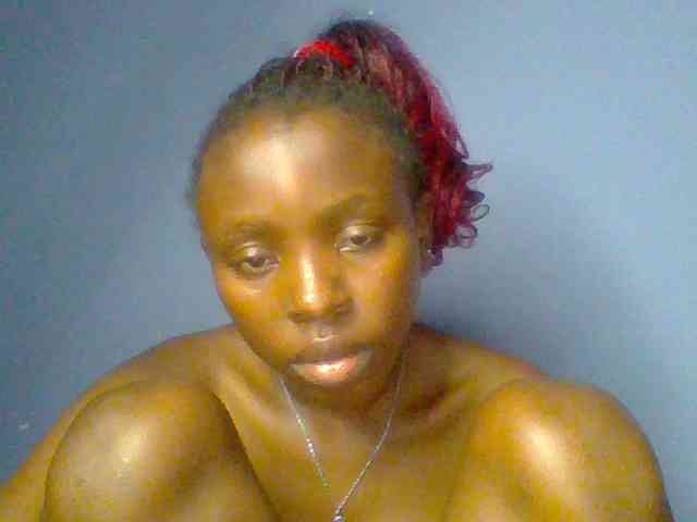 chocolate-brownie webcam
