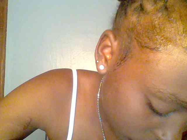 chocolate-brownie webcam