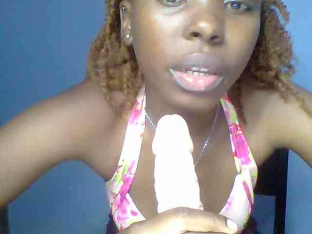 chocolate-brownie webcam