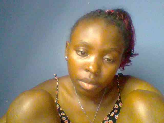 chocolate-brownie webcam