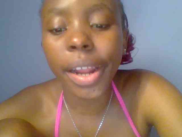chocolate-brownie webcam