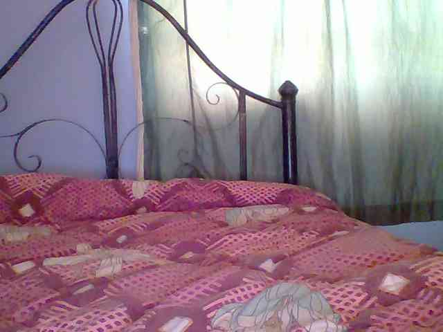 chocolate-brownie webcam