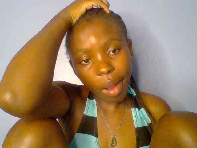 chocolate-brownie webcam