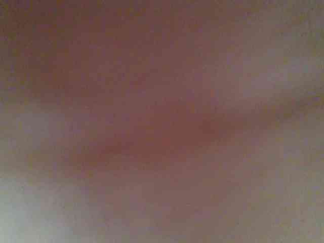 chocolate-brownie webcam