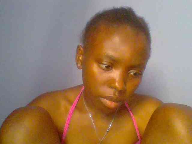 chocolate-brownie webcam