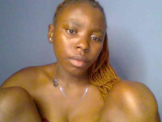 chocolate-brownie webcam