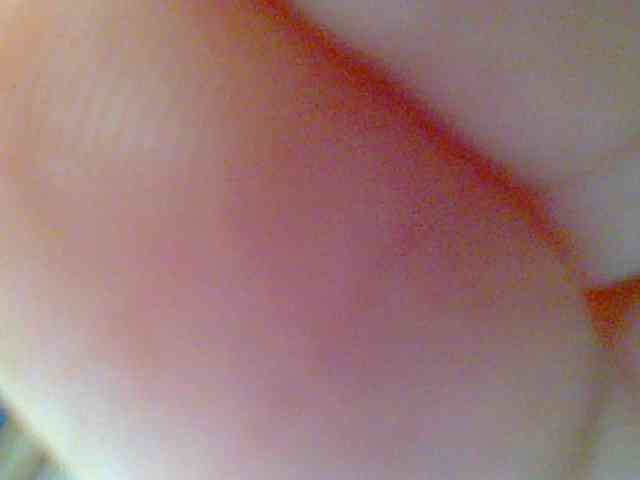 chocolate-brownie webcam