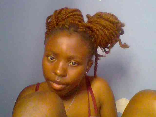 chocolate-brownie webcam