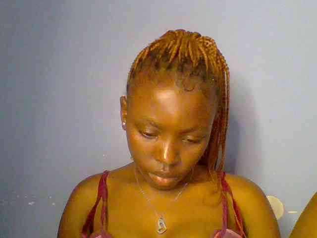 chocolate-brownie webcam