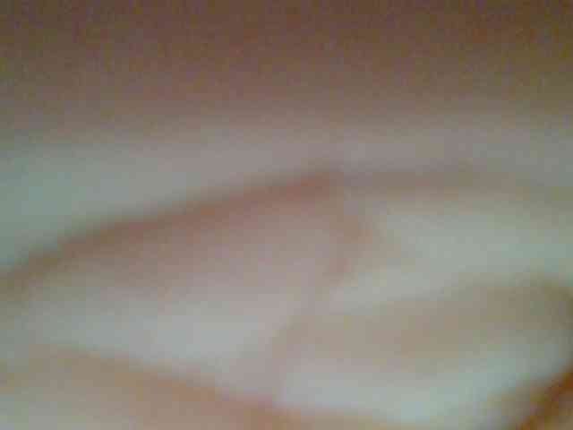 chocolate-brownie webcam