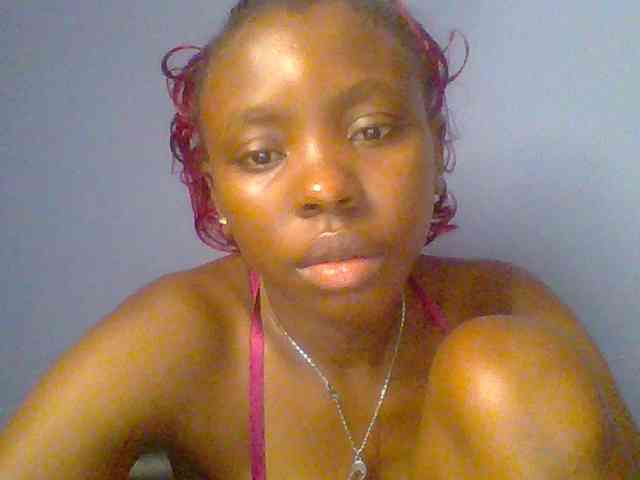 chocolate-brownie webcam