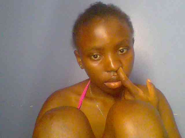 chocolate-brownie webcam