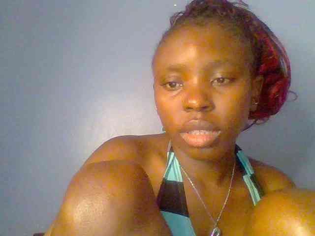chocolate-brownie webcam