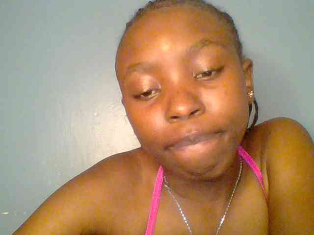 chocolate-brownie webcam