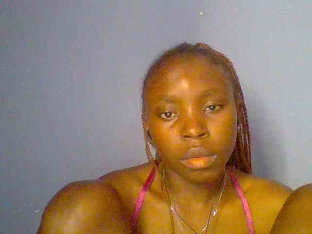 chocolate-brownie webcam