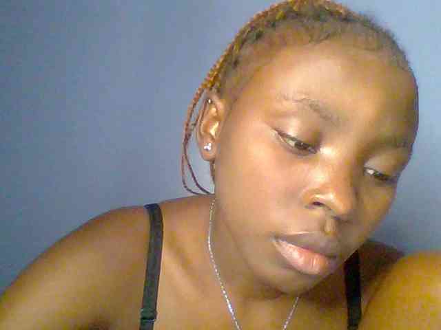 chocolate-brownie webcam