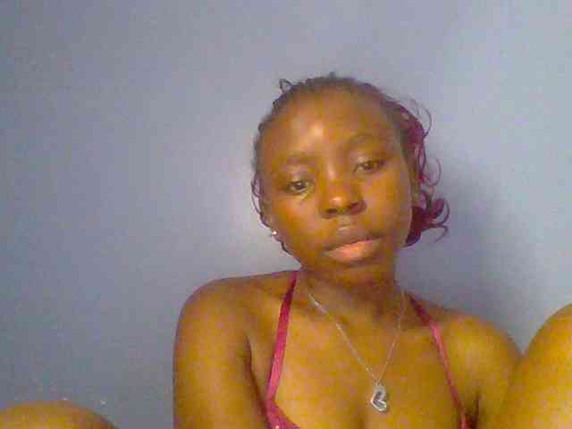 chocolate-brownie webcam
