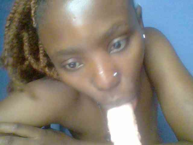 chocolate-brownie webcam