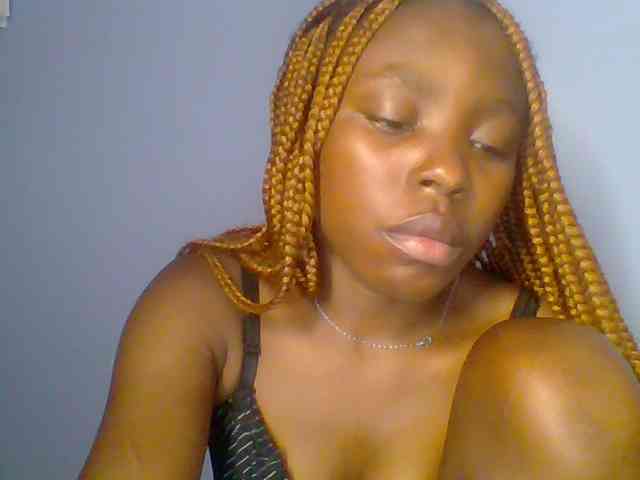 chocolate-brownie webcam