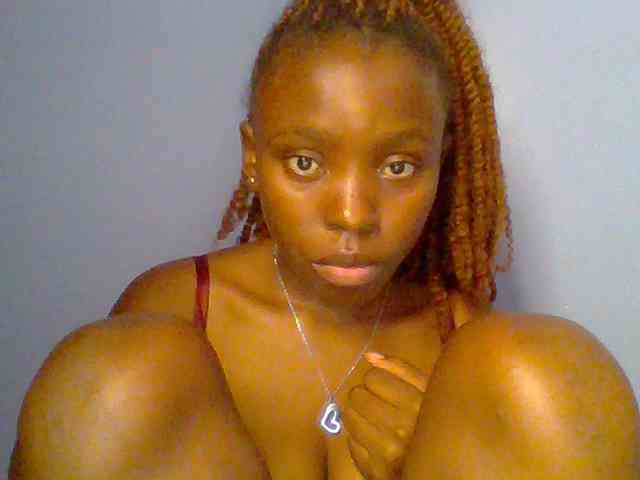 chocolate-brownie webcam