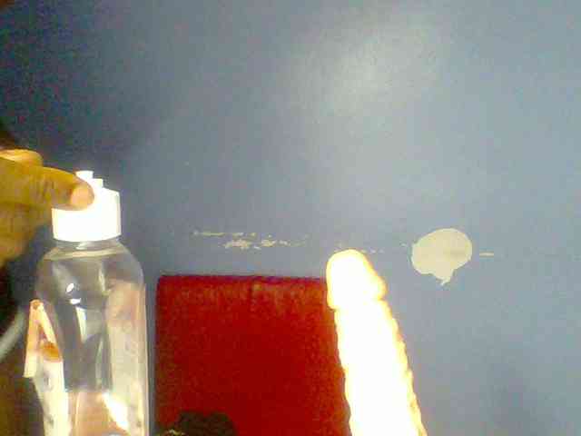 chocolate-brownie webcam